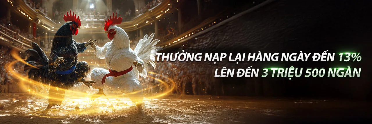 Khuyến mãi 55vin hấp dẫn nhất 2026